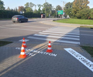 Odłóż smartfon i żyj. Napisy przed przejściami mają zatrzymać pieszych [ZDJĘCIA]