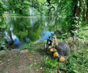 Wijewo - ukryty skarb Wielkopolski, gdzie historia królów spotyka się z błękitem jezior