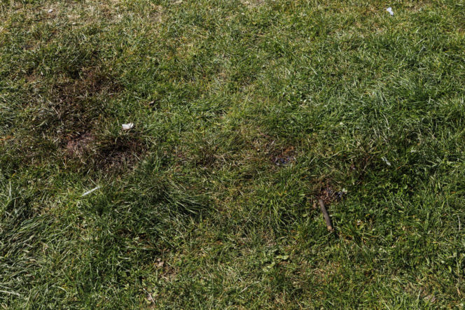 Strzelanina w Bystrzycy Kłodzkiej