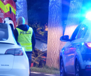 Śmiertelny wypadek pod Warszawą. Ford rozbił się na drzewie