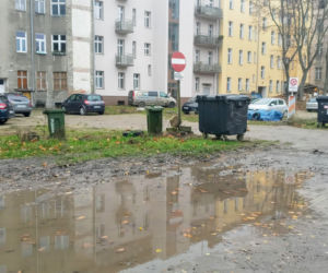 Mieszkańcy chcieli poradzić sobie z problemem. Efekt? Internet pęka ze śmiechu!