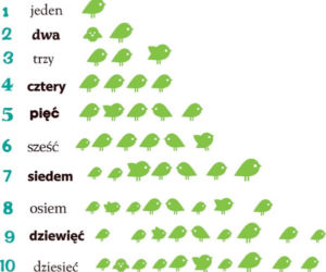 Naklejki ścienne