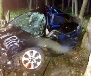 Wypadek na trasie Kowalewo - Mikuty. Samochód uderzył w drzewo. Kierowca w ciężkim stanie trafił do szpitala [ZDJĘCIA]