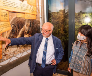 Ambasador Indonezji nadała imię młodej tygrysicy z wrocławskiego zoo