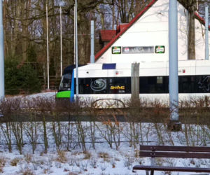 Rzeźby ze śniegu na pętli Głębokie