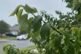 Pogoda na weekend w Poznaniu 24-26 kwietnia. Słoneczny początek ustąpi miejsca ochłodzeniu i deszczowi