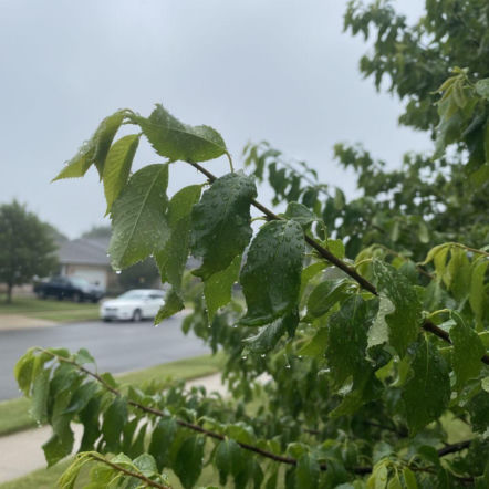 Pogoda na weekend w Poznaniu 24-26 kwietnia. Słoneczny początek ustąpi miejsca ochłodzeniu i deszczowi