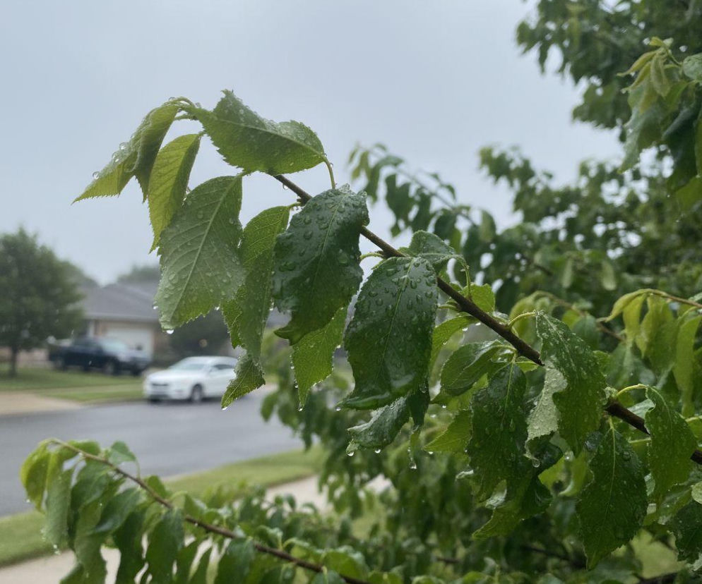 AI zdjęcie do artykułu