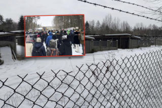 Ujadanie słychać z kilometrów. Odwiedziliśmy schronisko Happy Dog w Sobolewie. Tak nie brzmią szczęśliwe pieski