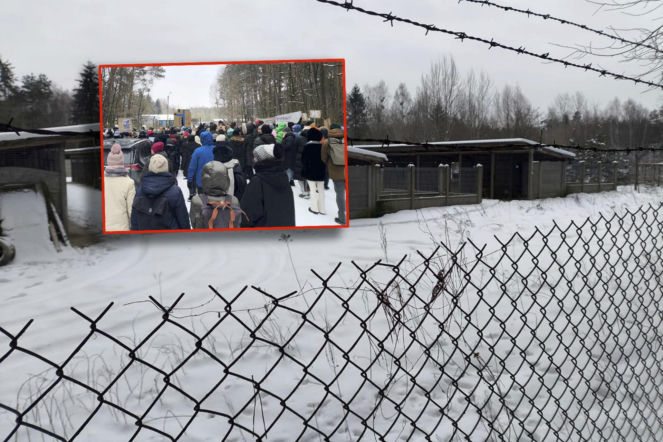 Schronisko dla psów w Sobolewie zamknięte! Mocne słowa Donalda Tuska