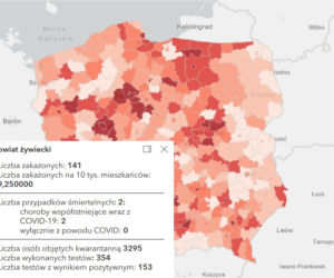 Koronawirus w województwie śląskim. Tak wygląda sytuacja w poszczególnych powiatach [RAPORT, 19 MARCA]