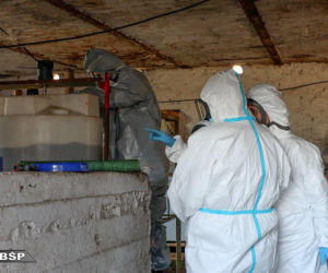 Wielkie wejście służb do laboratorium klofedronu na Mazowszu