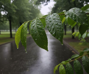 Weekend w Łodzi z rosnącą temperaturą. Niedziela przyniesie deszcz i zmianę pogody
