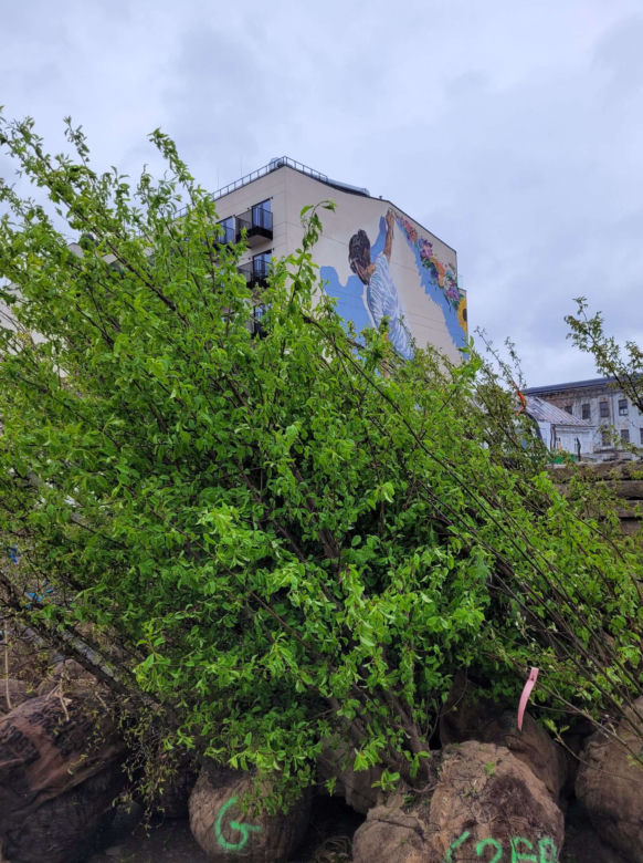 Kraków. Park im. Wisławy Szymborskiej przy ul. Karmelickiej nabiera kształtów