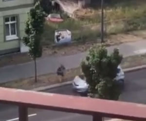 Zombie zabija już w Polsce