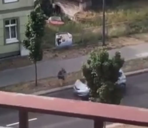 Zombie zabija już w Polsce