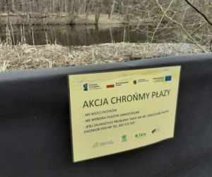 Ochrona żab na Barbarce
