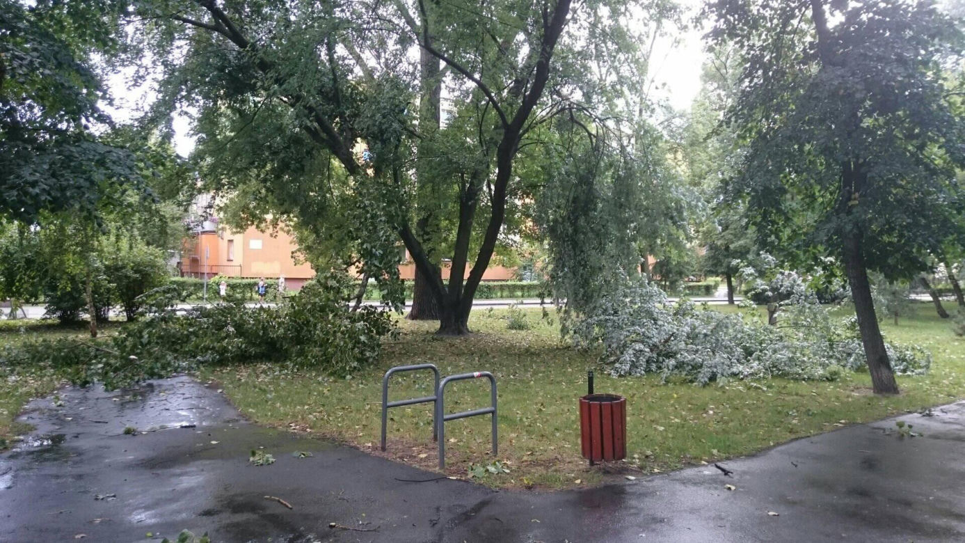 Burza nad Radomiem! Wichura połamała drzewa