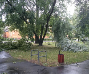 Burza nad Radomiem! Wichura połamała drzewa