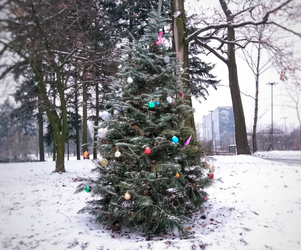 Święta w parku Poniatowskiego