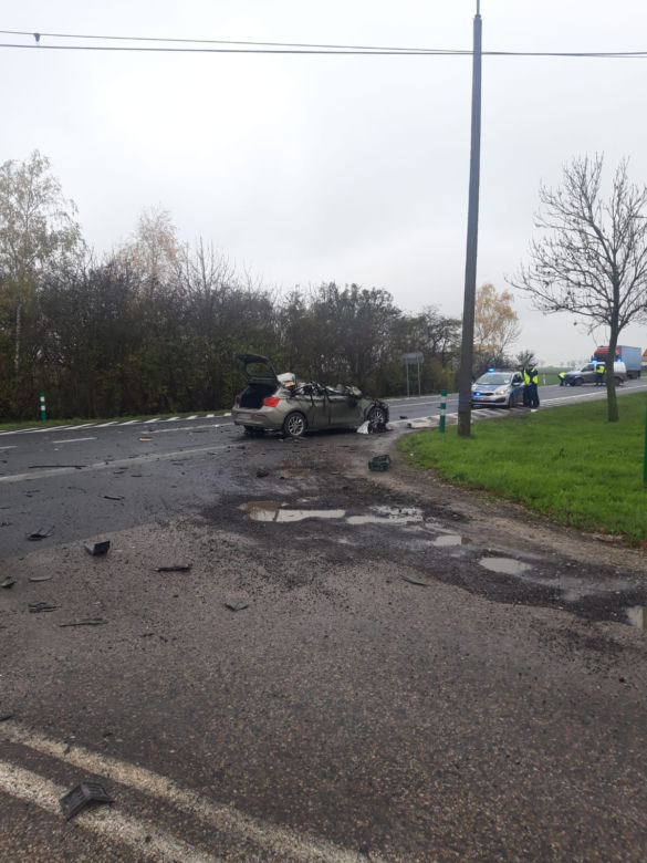 Straszna śmierć na drodze pod Toruniem. Policja prosi o pomoc