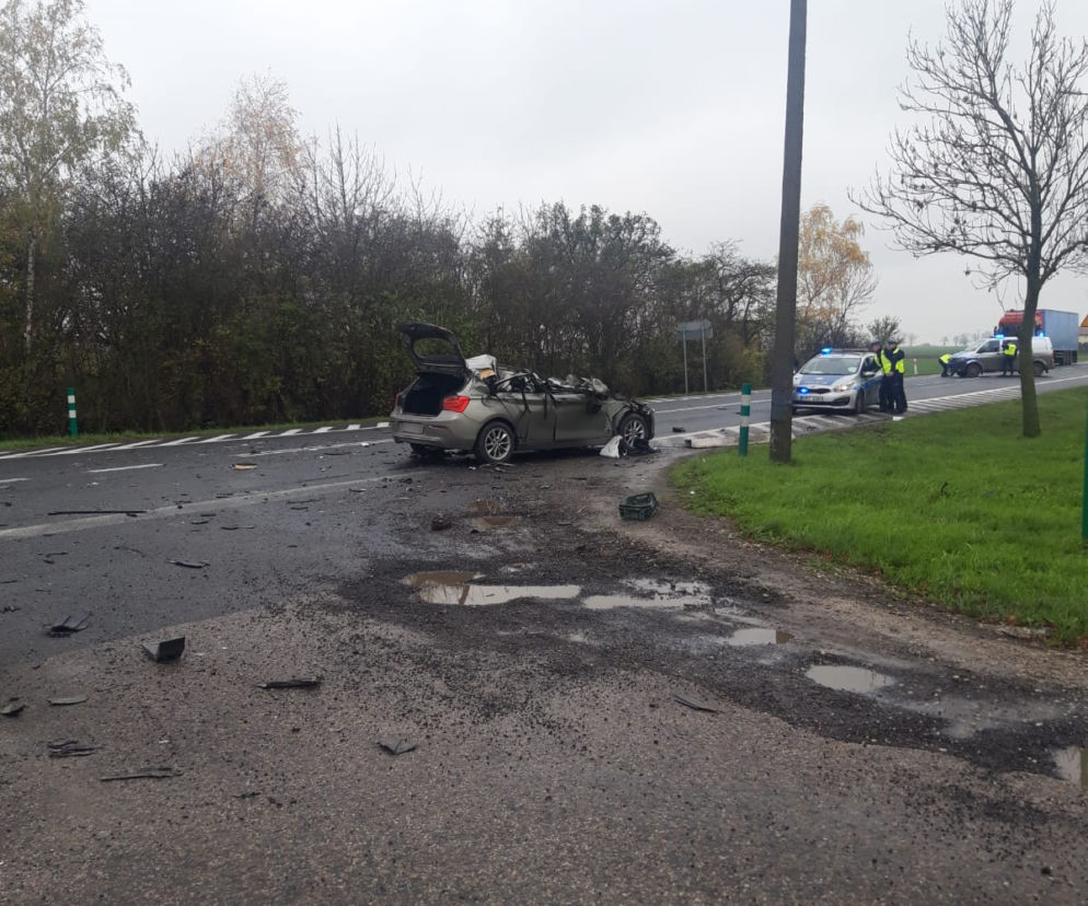 Straszna śmierć na drodze pod Toruniem. Policja prosi o pomoc