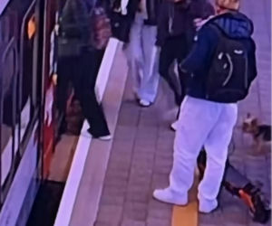 Sam wsiadł do pociągu i pojechał na gapę. Przechadzał się po wagonie i odwiedzał pasażerów