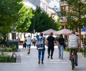 „Ale się wyciągnęła!”. Sprawdzamy, jak wygląda zasadzona w zeszłym roku miejska zieleń - ZDM Warszawa