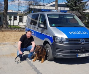 Policyjny pies Rudolf przeszedł na emeryturę. Służył w podkarpackiej policji