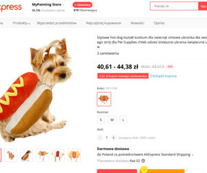 Najdziwniejsze rzeczy, jakie można kupić na AliExpress