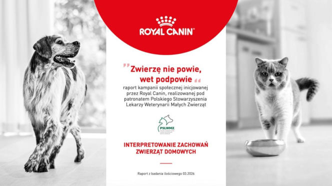 „Zwierzę nie powie, wet podpowie” - 71% opiekunów ufa swojej ocenie stanu zdrowia zwierzęcia. Czy słusznie?