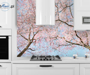 Fototapety do kuchni - galeria inspiracji zdjecie nr 4