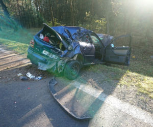 Wypadek na DK 8. Kierowca tyłem auta uderzył w drzewo. Dwie osoby w szpitalu