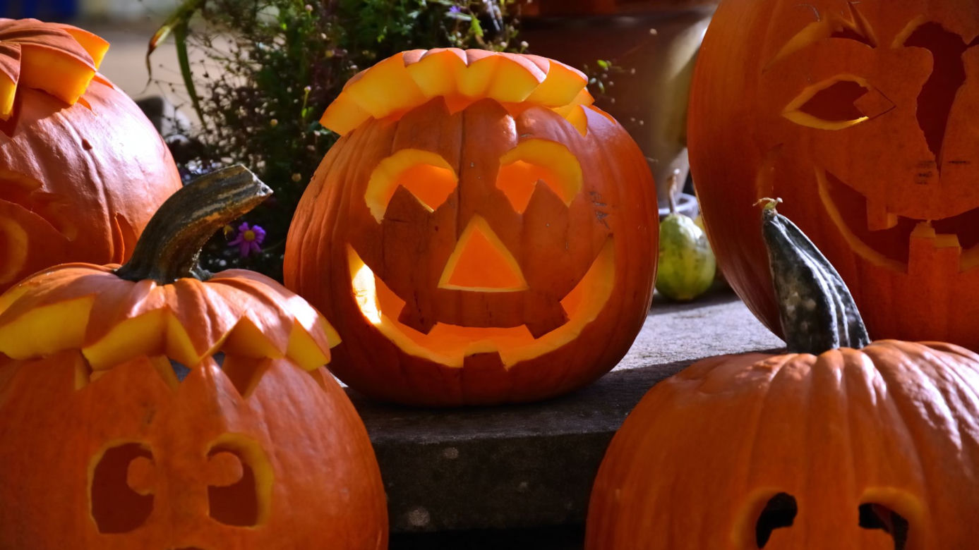 Dynia na Halloween. Jak zrobić krok po kroku? Straszne i śmieszne wzory [GALERIA]