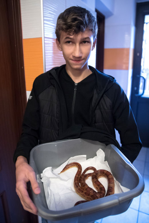 Wąż w pralce