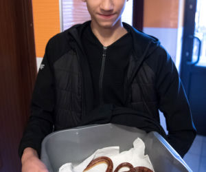 Wąż w pralce