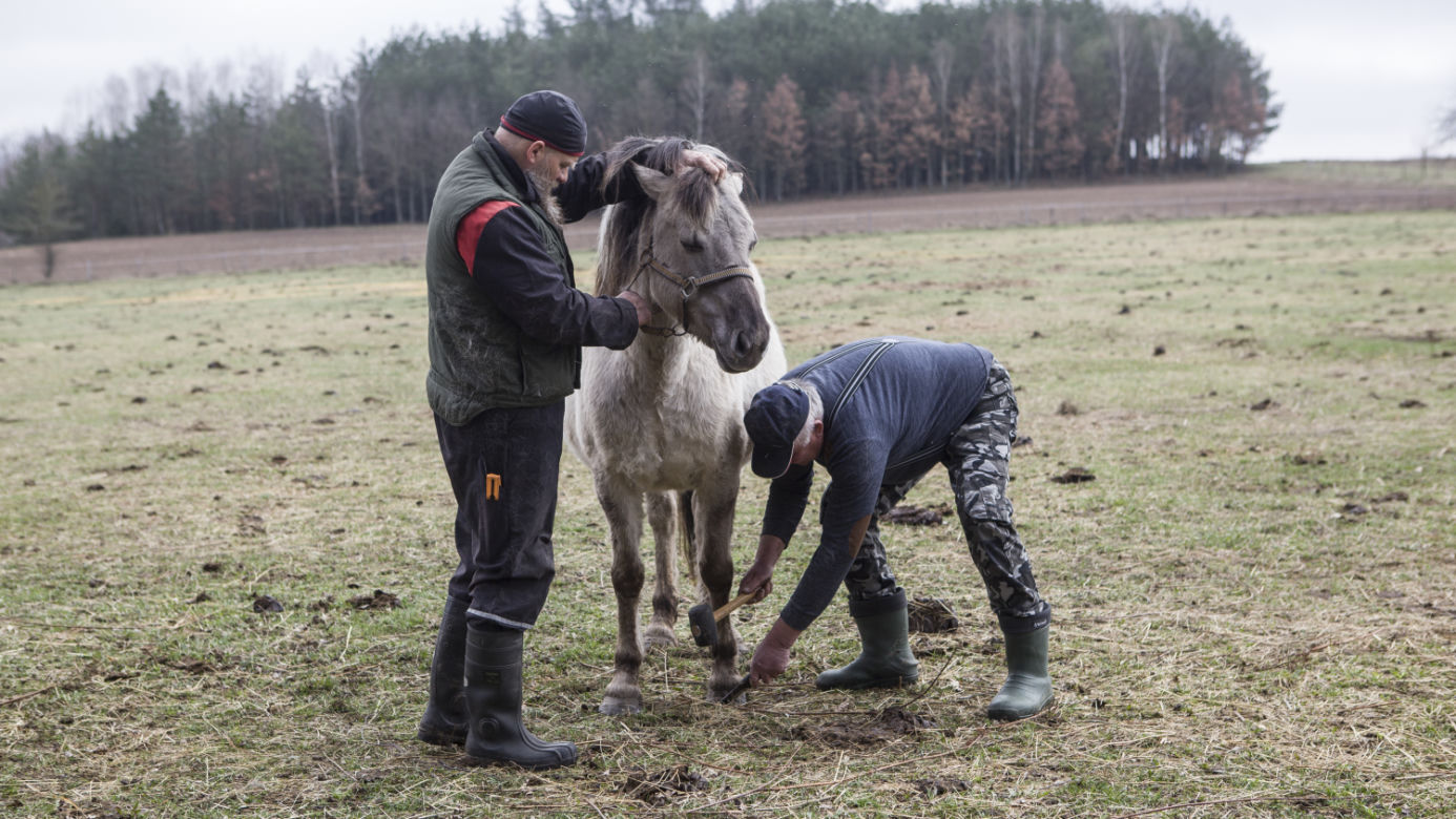 Rolnicy. Podlasie odcinek 15. Premiera w niedzielę 20 czerwca