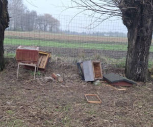 Koszmar w agroturystyce. Owce i daniele zagryzione, część zwierząt wrzucona do stawu!