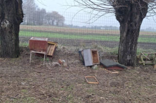 Koszmar w agroturystyce. Owce i daniele zagryzione, część zwierząt wrzucona do stawu!