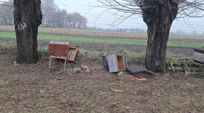 Koszmar w agroturystyce. Owce i daniele zagryzione, część zwierząt wrzucona do stawu!