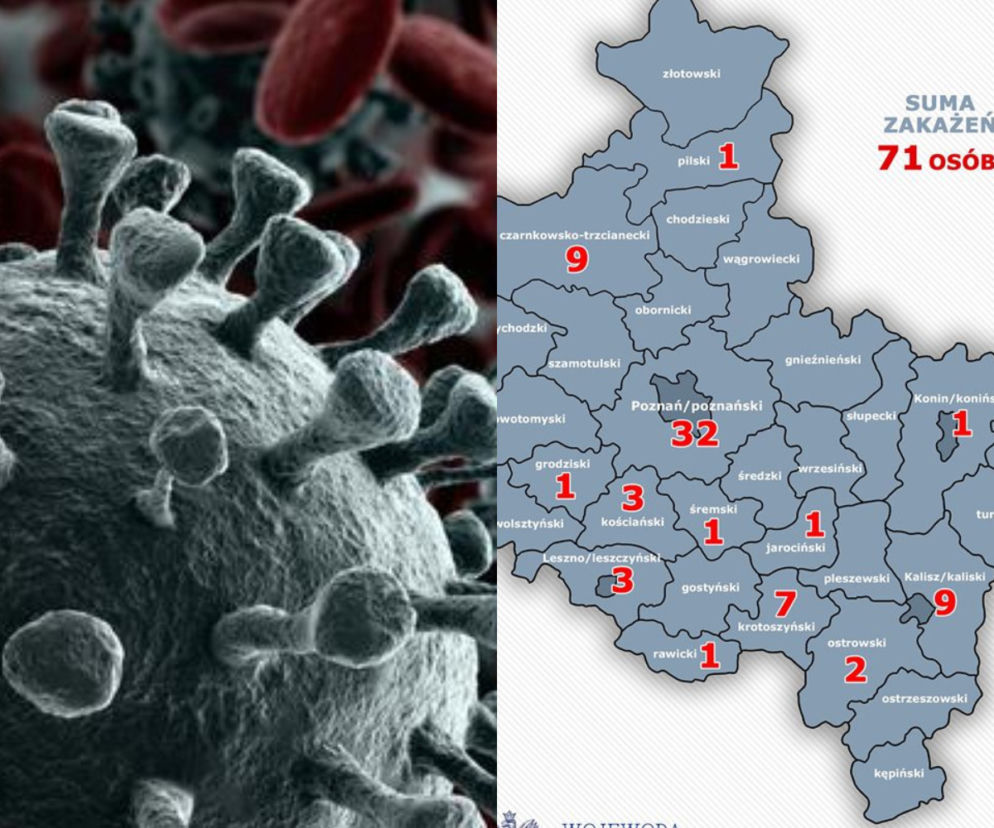 Koronawirus w Wielkopolsce. DRASTYCZNY wzrost osób poddanych izolacji lub kwarantannie!