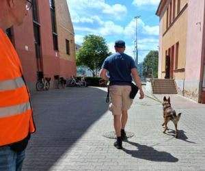 Ewakuacja szkół i pływalni w Lesznie. Akcja służb na Jana Pawła 