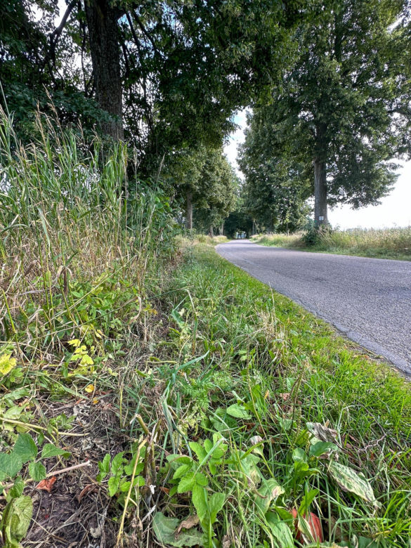 Paweł roztrzaskał się o lipę. "Zostały po nim płacz, ból rodziny i kluczyki"