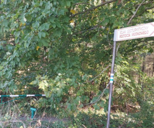 52. Rajd Miłośników Roztocza