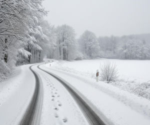 Rodzina spędziła noc w lesie. Dzieci miały na sobie tylko bieliznę i koszulki