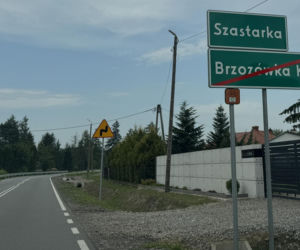 Polskie Hollywood istnieje naprawdę! Ten napis przyciąga turystów z całego kraju
