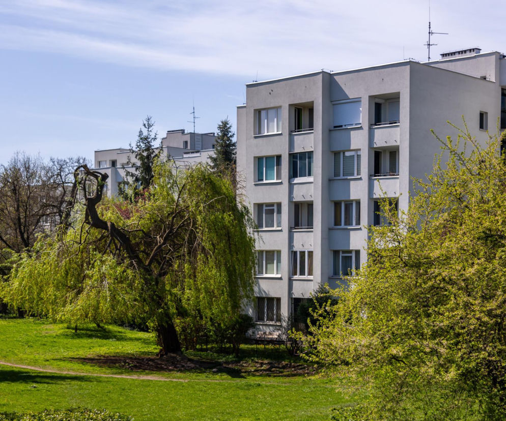 Jasne bloki osiedla Szwoleżerów wśród gęstej zieleni i drzew. O walce mieszkańców o zabytkowy układ przeczytasz na Architektura.