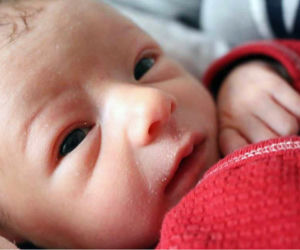 Ines