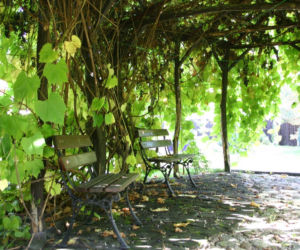 Pergola