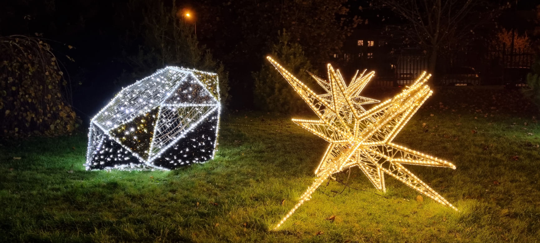 Ogród Botaniczny po zmroku zamienia się w magiczny ogród [GALERIA]